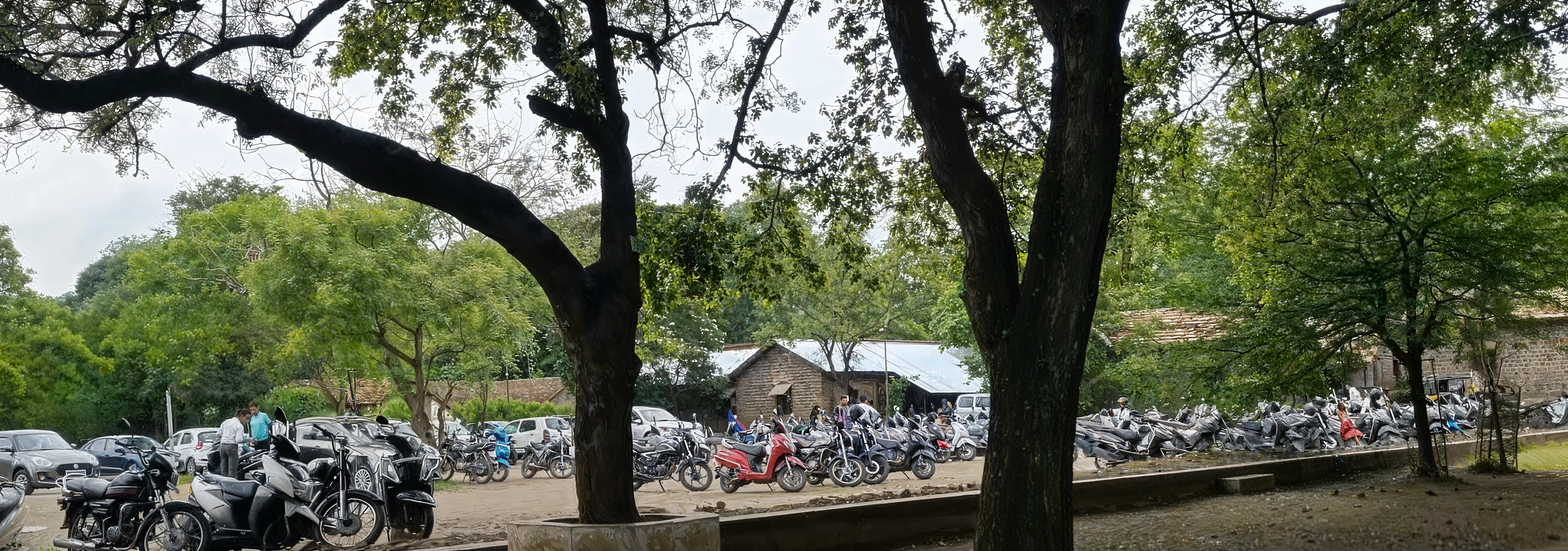 Fergusson College Pune campus photo 17